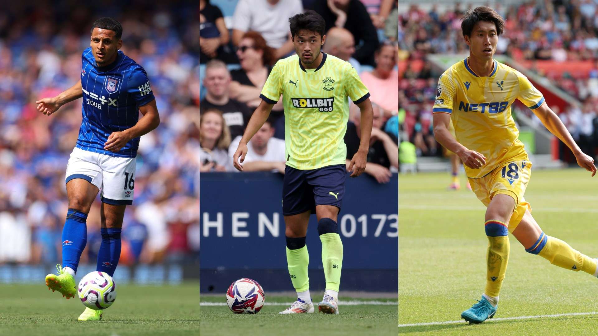 这无疑为他 这无疑为他