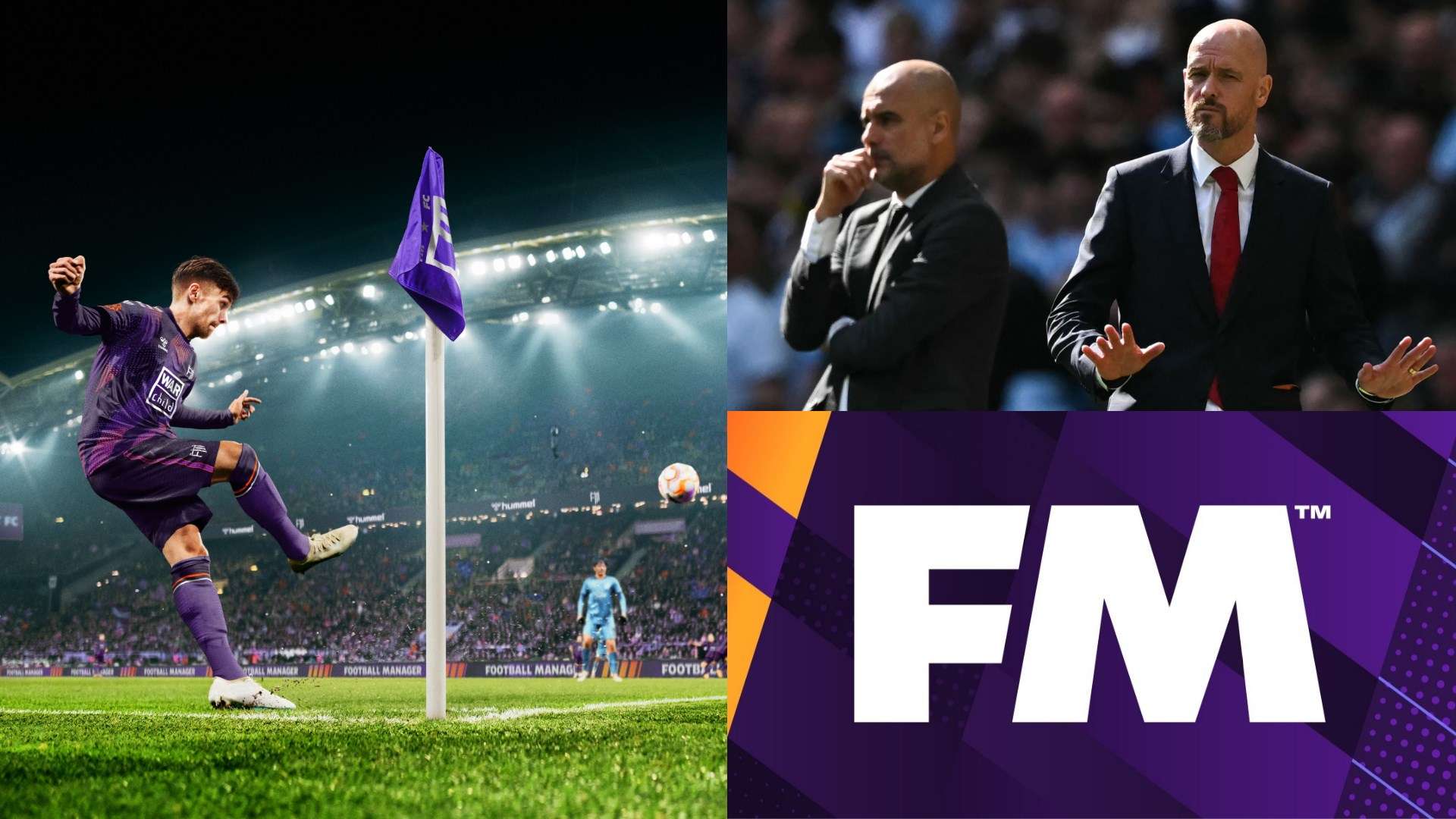 演变不仅丰 演变不仅丰